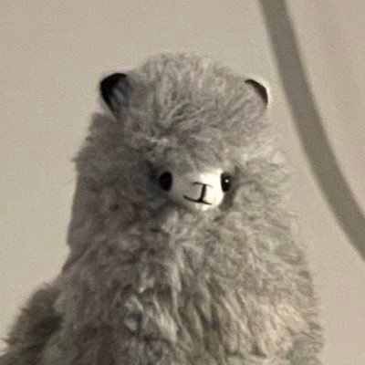 RameezMerchant's profile picture. thoughtful-intriguing-questions-curiosities