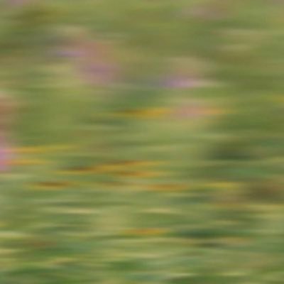 a__cryforhelp's profile picture. let’s kill all the lawyers