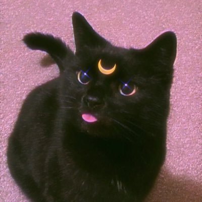 RlVERzz's profile picture. i love valorant