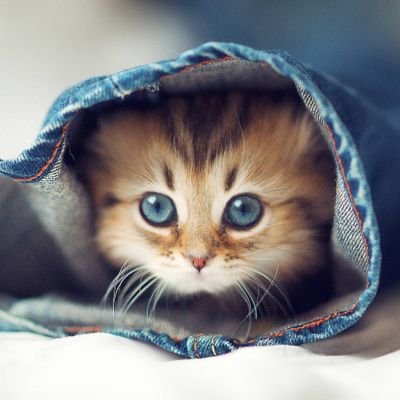 Ahmedei71232589's profile picture. https://t.co/RdDYIOWNty