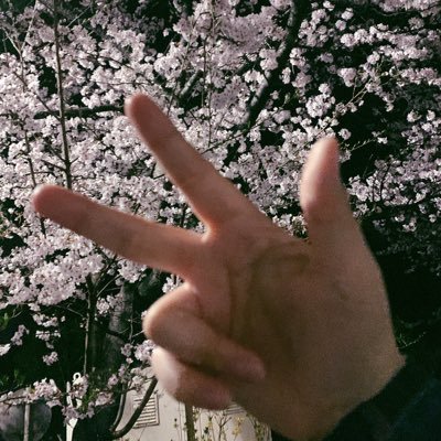 penchacha0334's profile picture. 🌸村、🪐🚀、stgr周辺B済み/取引垢 本垢提示○ 仕事のため平日は返信が遅くなることがあります。ご了承ください。3日以上お返事ない場合は再度連絡、1週間以上は白紙にする可能性あります。成人済み。コンプ厨 推し:🐧🍀