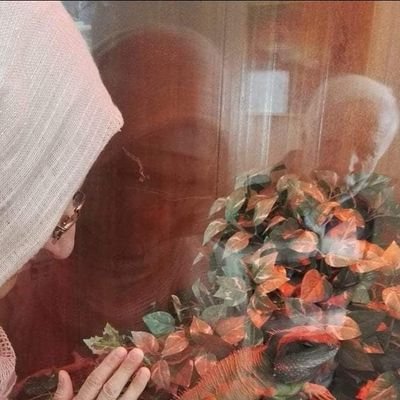 asfa67's profile picture. 