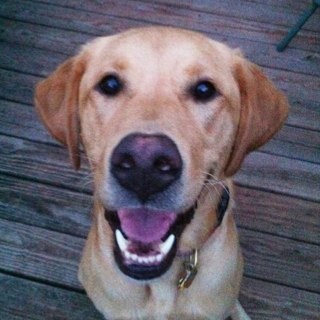 TeresaKaeK's profile picture. 