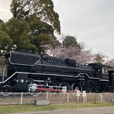 元鉄道運転士 ・囲碁 ・俳句 ・ゴルフが趣味