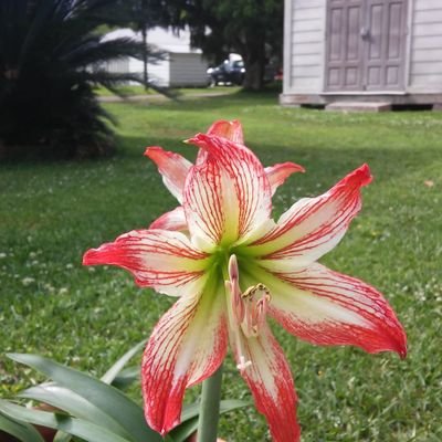 Getfractal11's profile picture. 