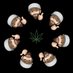 @DragonMan420 (C21H30O2) (@dragonman4201) Twitter profile photo @DragonMan420 (C21H30O2) (@dragonman4201) Twitter profile photo