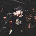 Harrison Scott (@itsharrrison) Twitter profile photo Harrison Scott (@itsharrrison) Twitter profile photo