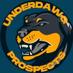 The HUB for NAIA FB players, schools and draft prospects to showcase their talents to the world. #underdawgseason Page Admin: @kaythe_trainer