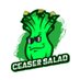 Ceasersalad gaming (@csgkick) Twitter profile photo Ceasersalad gaming (@csgkick) Twitter profile photo