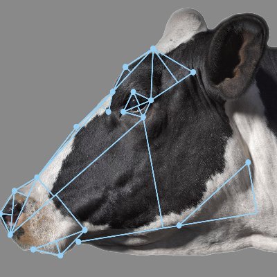 DairyFit's profile picture. 