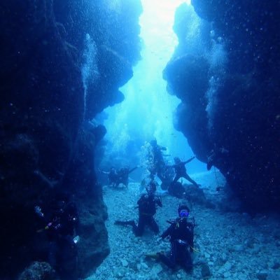 programinger's profile picture. 19歳の大学生です! プログラミングの勉強を最近始めました 今はまずHTMLを頑張ってます