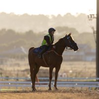 Raygan Koch (@raygankoch) 's Twitter Profile