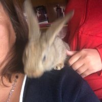 Lore (@soniaa78) 's Twitter Profile Photo Lore (@soniaa78) 's Twitter Profile Photo