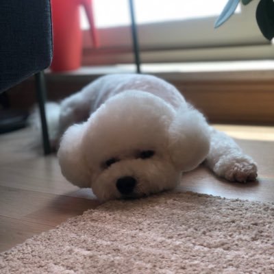 Pso fighter💕Have a great day, Bongaa!! Korean Enthusiast 🇰🇷!! byk ngetweet ttg korea,feel free to click the unfoll button if u don’t like my tweets. Thanks!!