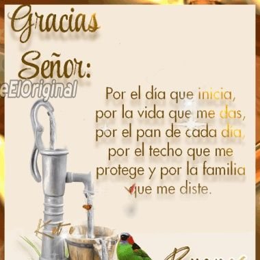 belkysacostaba's profile picture. 