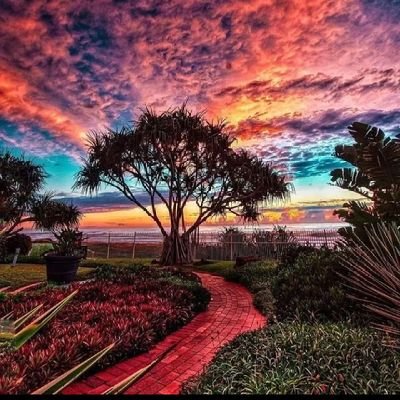 Ricardo05715475's profile picture. TODO