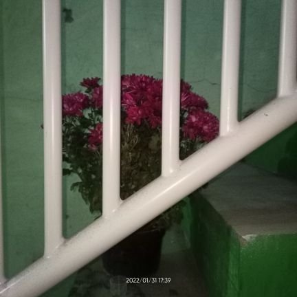 berhenti mengasihani diri sendiri, dan lebih mensyukuri bahwa saya masih hidup hari ini.