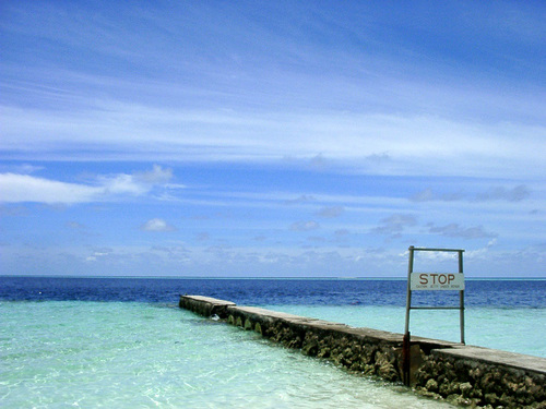 1sh11's profile picture. 渋幕→W大→北関東の鉄道会社。千葉県市川→東京→神奈川→埼玉→栃木。平成生まれ。長男0歳