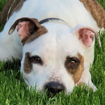 sharobiwon's profile picture. Entrepreneur