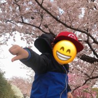 めがねこ (@megane_coco) 's Twitter Profile