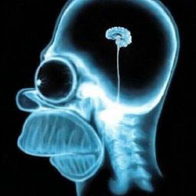 ElijahPerrin21's profile picture. More beard than man. I ignore all DIRECT MESSAGES