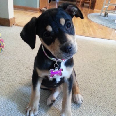 angryandfedup2's profile picture. retired, mother,grandmother you don’t need to know much more than that