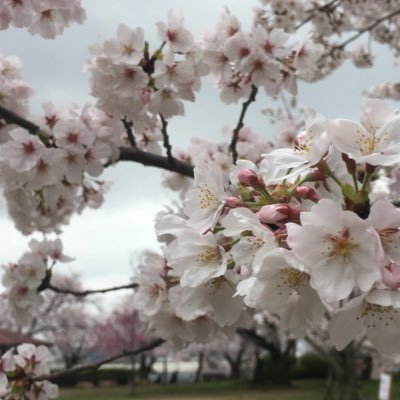 2021/7から起業。2022/9に合同会社として法人化！貿易商とOEMをECサイトへ出品、他諸々しています。目指せ年間売上1億円！まだまだだけど…