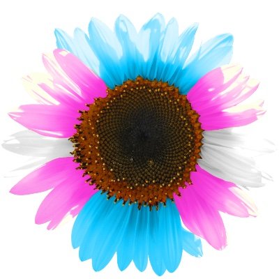 helianthropy's profile picture. A mix of social justice, tech, and Ooo! Look what I found! Vegan, geeky nerdy, queer, activisty. Some flavor of neurodivergent. 🏳️‍⚧️🏳️‍🌈 Pronouns: she/her