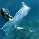 Ellen Shin - @Smrtcooki_ellen - Twitter