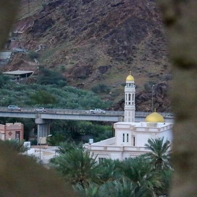 ZL_LNL's profile picture. الحياه لحظه