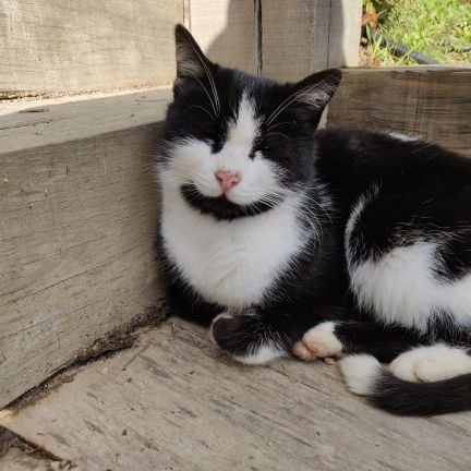 beybigiller's profile picture. 