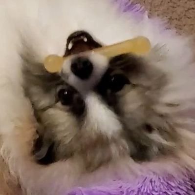 Midposter with hedgehogs, horseplay, and horsepower on the mind, but you'll find more of that in my 2nd acct @Kilominters
|
DMs are closed
|
he/him 🏳️🌈
