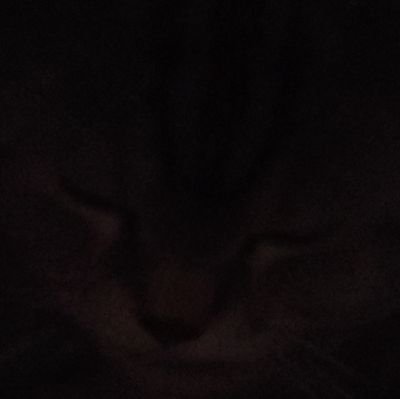 fire6661917's profile picture. A YOU OK