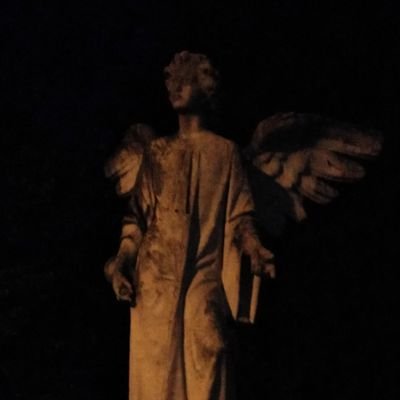 yshko00's profile picture. 19 desenez.....uneori