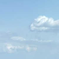 梅田 (@umeda_men) 's Twitter Profile