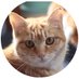 starforce1128 (@starforce1128) Twitter profile photo starforce1128 (@starforce1128) Twitter profile photo
