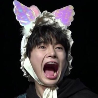 TeraPera843's profile picture. lol