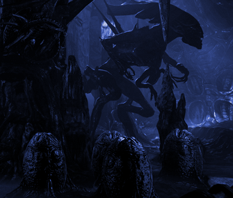 XenoSanctum's profile picture. 