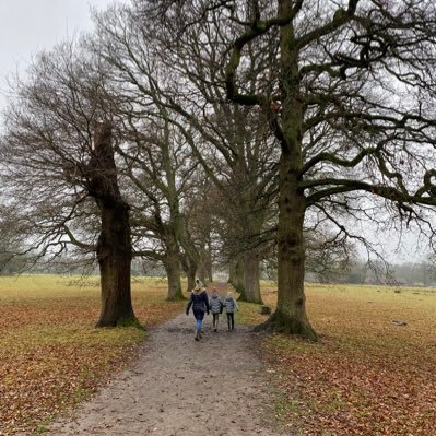 Alan_Partrid3e's profile picture. In no particular order: watches wrestling. eats biscuits. bbq&smokes animals. drinks real ale. teaches English. raises children. husbands. reads.