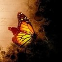 Darla Murphy - @carebear0729 - Twitter