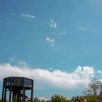 pippiwalla's profile picture. 