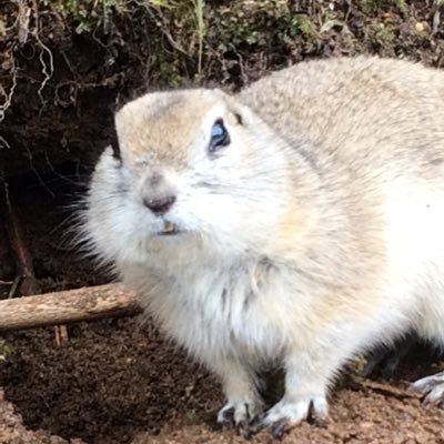 a1oVtc8lBzZcEXz's profile picture. 