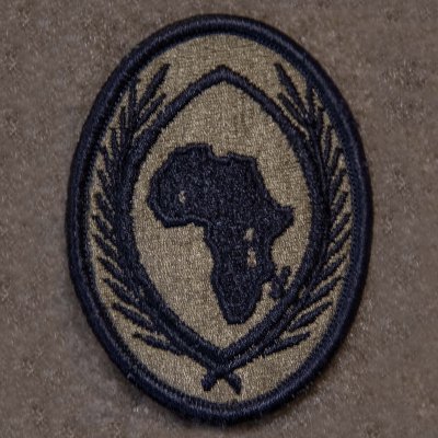AFRICOM is responsible for military relations with nations & regional organizations in Africa.

Follows/reposts ≠ endorsements