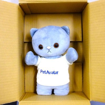aplusa_goronyan's profile picture. 猫型 #ぬいぐるみ  #ロボット の #ゴロニャン を開始点として、人と人との #遠隔コミュニケーション に #触れ合い を復活させ、以触伝心を実現する活動をしています。ゴロニャンに続いて、スマホに以触伝心機能を付加する #GOROlite と遠隔から本格的な握手を可能とするゴロハンドの開発を進めています。