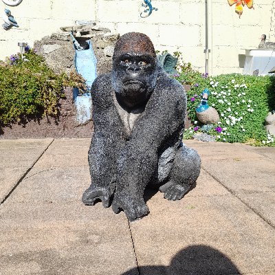 Irishoneill1964's profile picture. Lfc  YNWA 🇮🇪🏆🏆🏆🏆🏆🏆☘