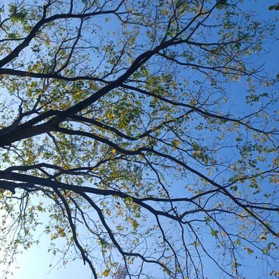 STAADProV8i's profile picture. Hello.
We haven't talked in quite some time.
I know.
I haven't been the best.