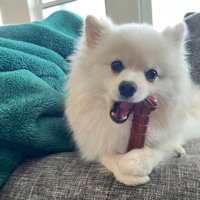 Ro Sung (@rosung216) 's Twitter Profile