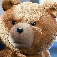 Connor Macleod 🇦🇺 🦘🐨 (@connorm91769582) 's Twitter Profile