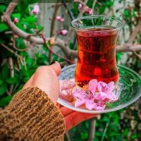 دختر ایران (@asghrzadhmyna) 's Twitter Profile Photo