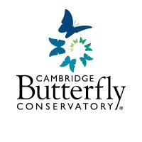 Cambridge Butterfly (@conservatory_) 's Twitter Profile